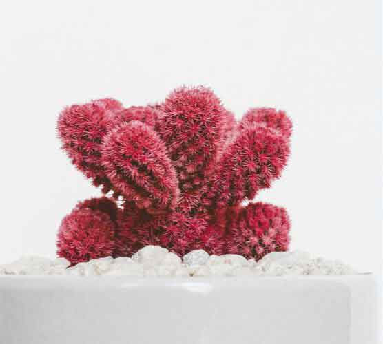 让业务更顺畅的ddos攻击器安卓ios下载