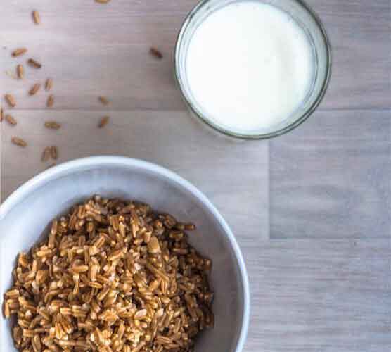 网页DDOS攻击平台